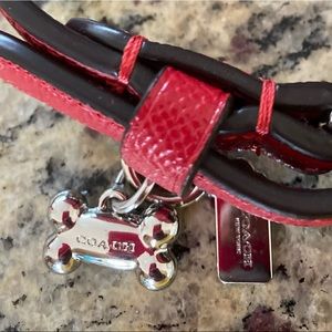 Coach Dog Collar